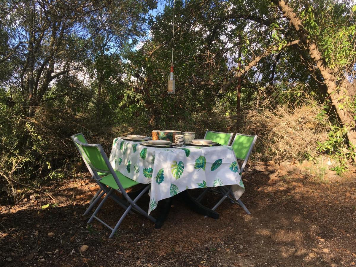 Finca Fahala Cártama Εξωτερικό φωτογραφία
