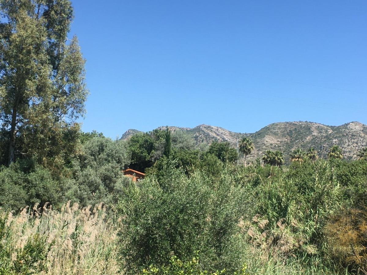 Finca Fahala Cártama Εξωτερικό φωτογραφία