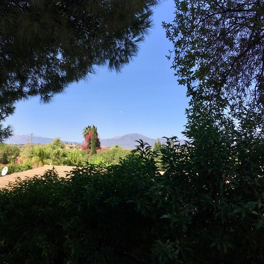 Finca Fahala Cártama Εξωτερικό φωτογραφία