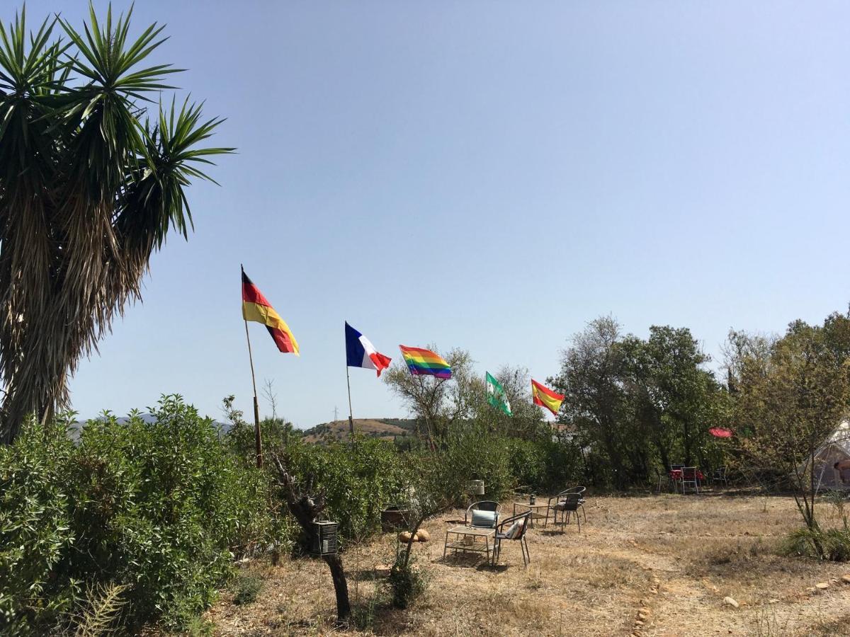 Finca Fahala Cártama Εξωτερικό φωτογραφία