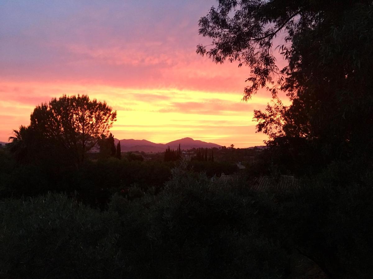 Finca Fahala Cártama Εξωτερικό φωτογραφία