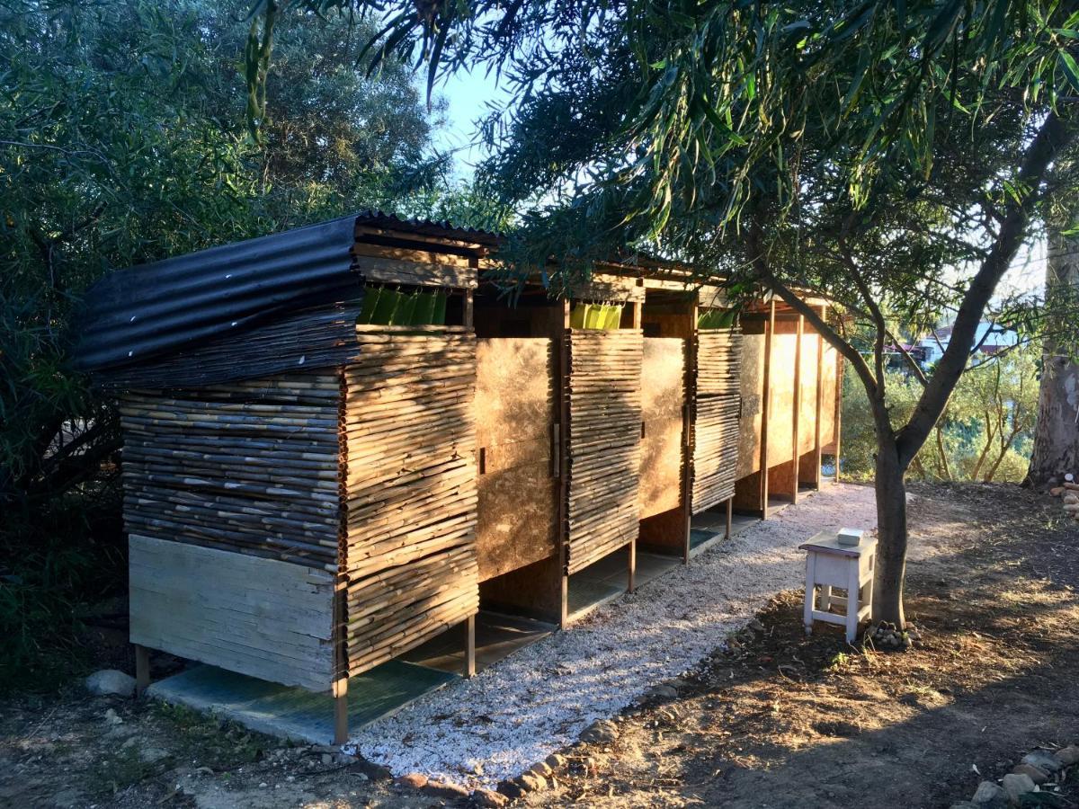 Finca Fahala Cártama Εξωτερικό φωτογραφία