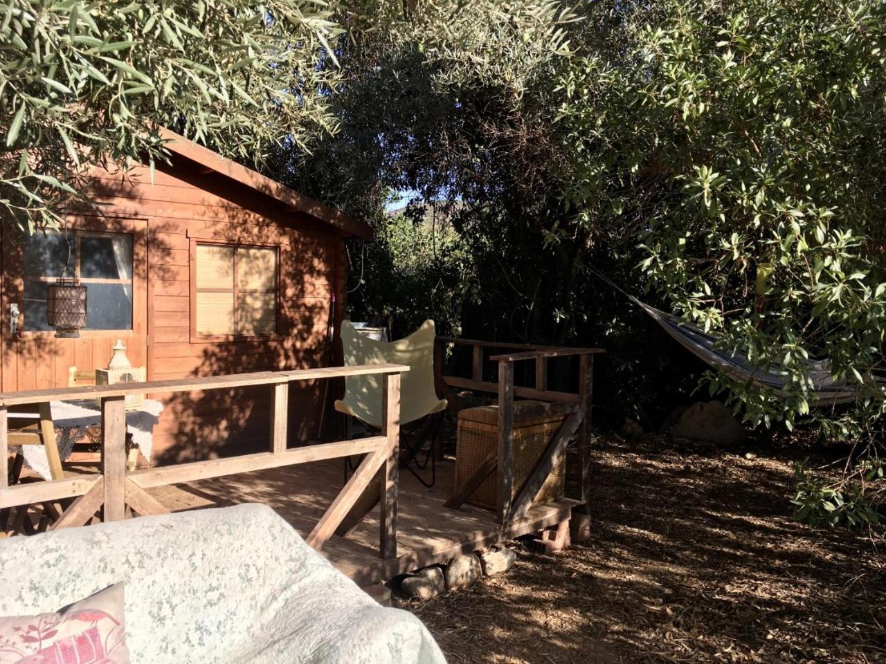Finca Fahala Cártama Εξωτερικό φωτογραφία