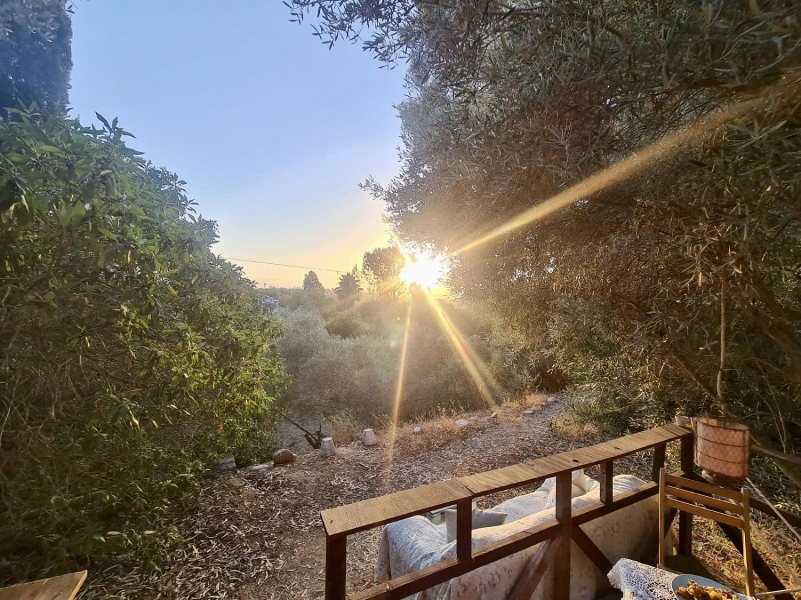 Finca Fahala Cártama Εξωτερικό φωτογραφία