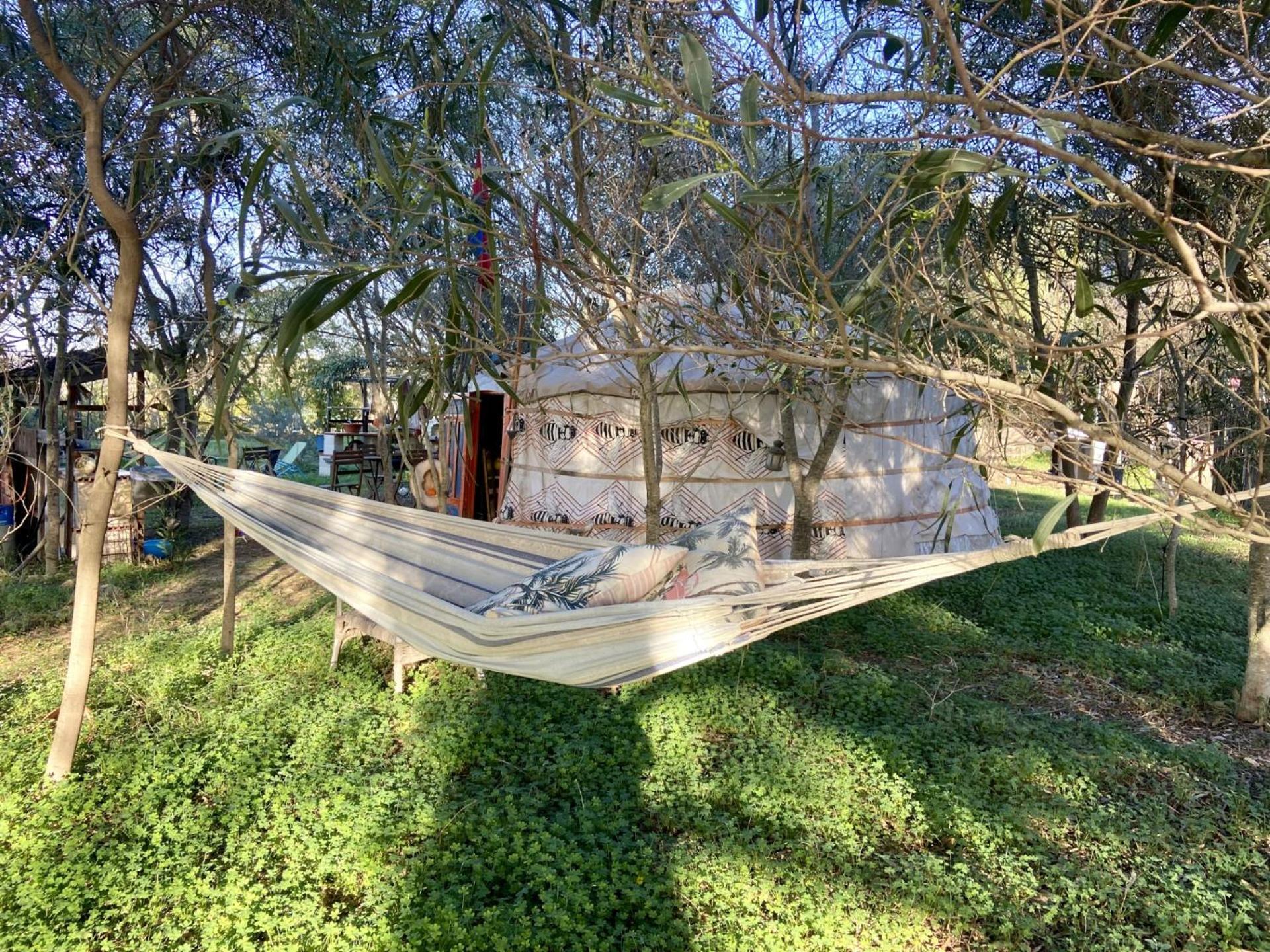Finca Fahala Cártama Εξωτερικό φωτογραφία
