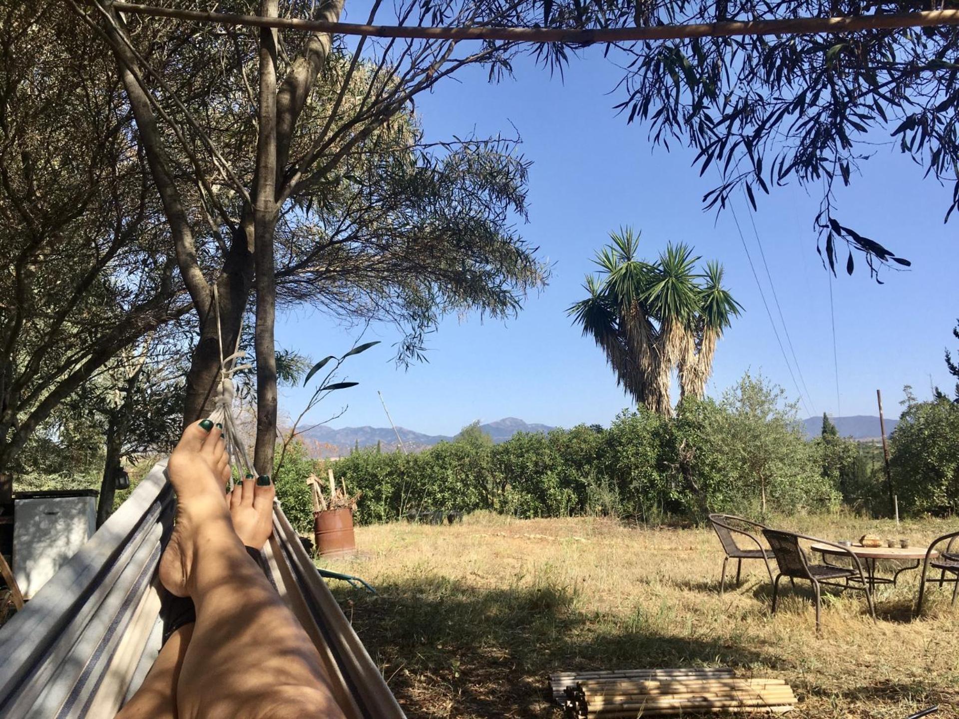 Finca Fahala Cártama Εξωτερικό φωτογραφία